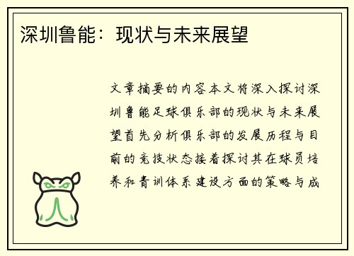 深圳鲁能：现状与未来展望