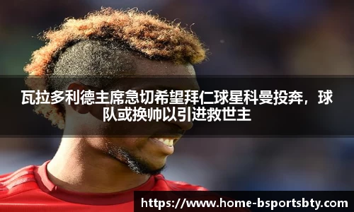 bsports登录入口